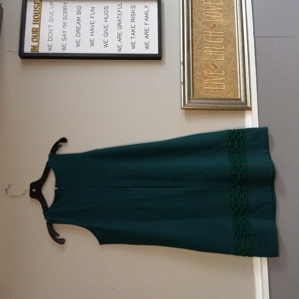 Ann Taylor Petite, Hunter Green, Sleeveless, Embroidered, Zip Back Dress - Picture 2 of 11